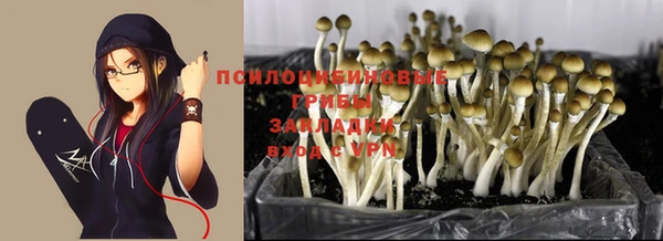мефедрон мука Нязепетровск