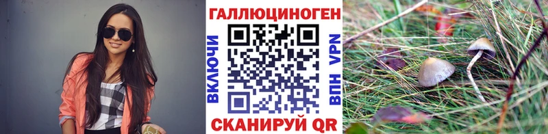 Галлюциногенные грибы GOLDEN TEACHER  закладки  Усть-Кут 